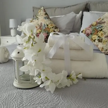 102 Dreamhouse Metropolitana B Libia *