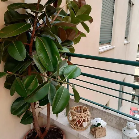 102 Dreamhouse Metropolitana B Libia *